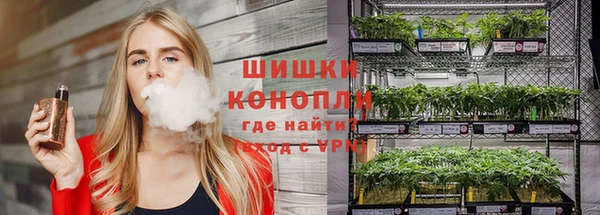 тгк Вяземский