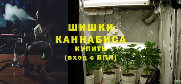 ешки Горняк