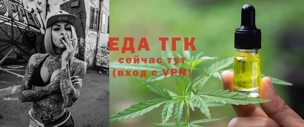 тгк Вяземский