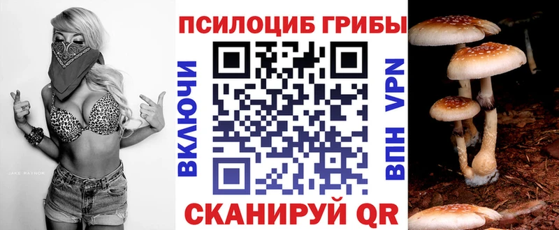 Купить закладки  Северобайкальск  Псилоцибиновые грибы Cubensis 